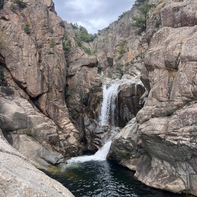 Carte postale nature sauvage et préserve de Lozère